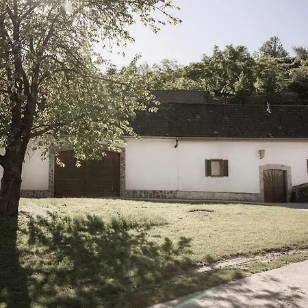 Am Weingut Eisenbock