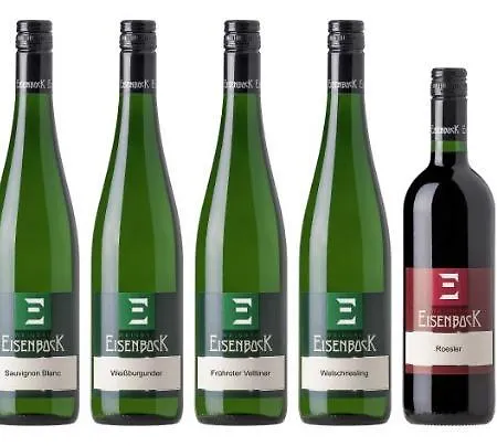 Am Weingut Eisenbock *