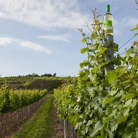 Am Weingut Eisenbock Apartmán Strass (Waldviertel)