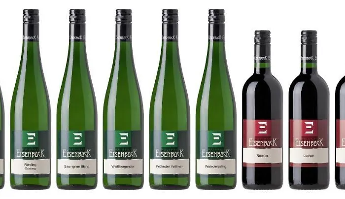 Am Weingut Eisenbock *