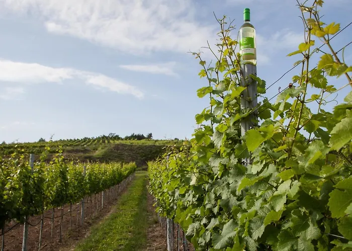Am Weingut Eisenbock Apartamento Strass (Waldviertel)