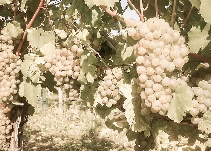 Am Weingut Eisenbock Apartamento *