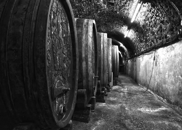 Apartamento Am Weingut Eisenbock Strass (Waldviertel)